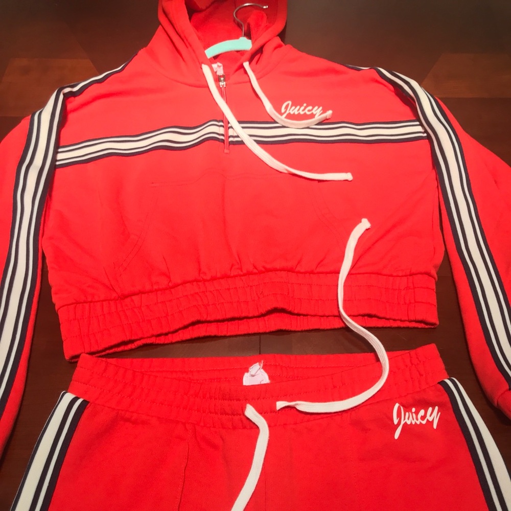 Juicy Couture Cropped Hoodie